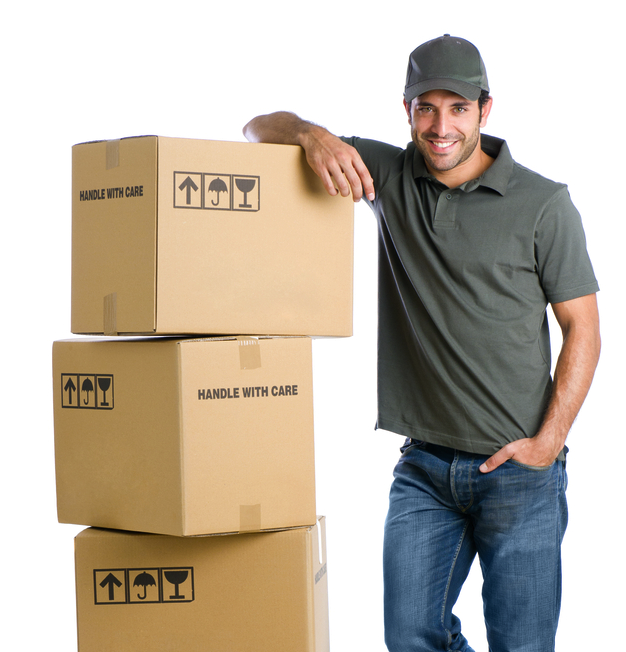 Ideas Gym equipment movers calgary for Workout at Gym