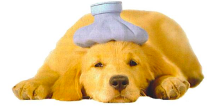 Screen Shot 2016-02-16 at 5.19.03 PM